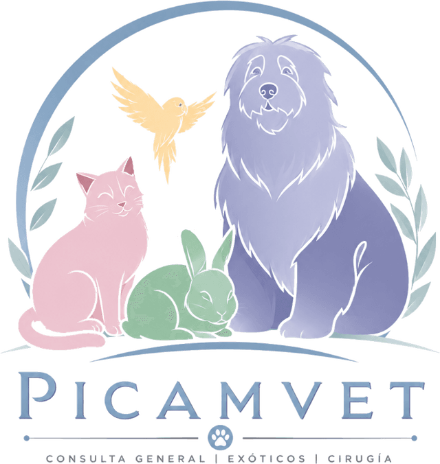 Logotipo de Picamvet