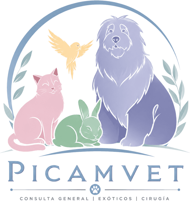 Logotipo de Picamvet